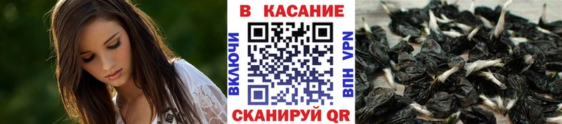 Как найти закладки Сибай МАРИХУАНА  АМФ  Гашиш  Меф  Кокаин 