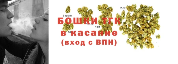 сатива Алзамай