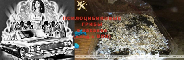 jwh Алексеевка